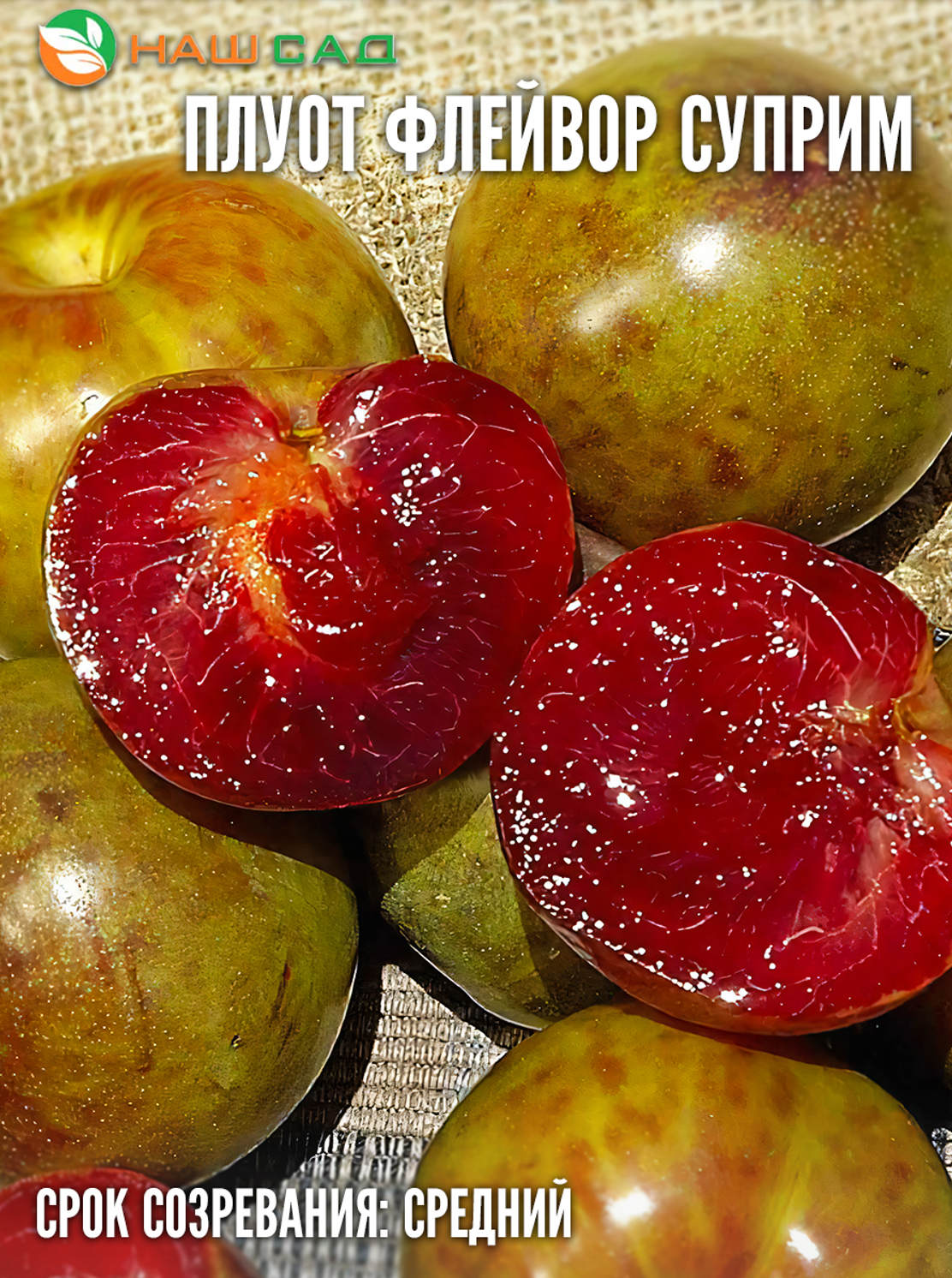 Слива «Флавор Суприм» (Flavor Supreme)