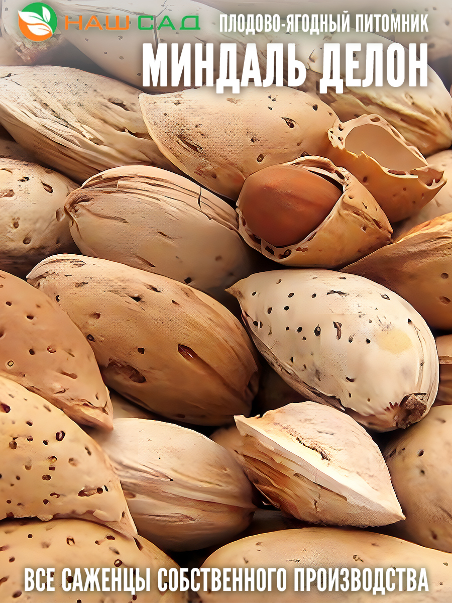 Миндаль Делон